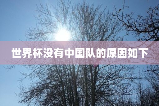 世界杯没有中国队的原因如下眉山市正发家政服务有限公司