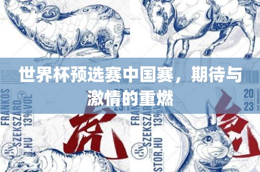 世界杯预选赛中国赛，期待与激情的重燃