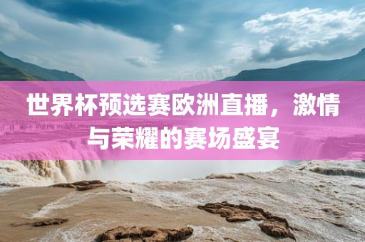世界杯预选赛欧洲直播，激情与荣耀的赛场盛宴