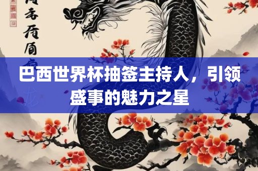 巴西世界杯抽签主持人，引领盛事的魅力之星