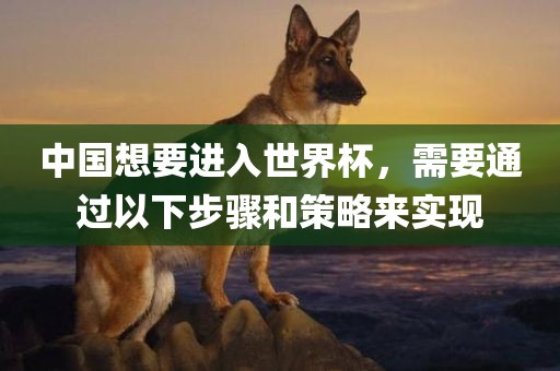 中国想要进入世界杯，需要通过以下步骤和策略来实现