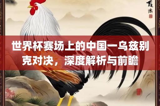 世界杯赛场上的中国一乌兹别克对决，深度解析与前瞻
