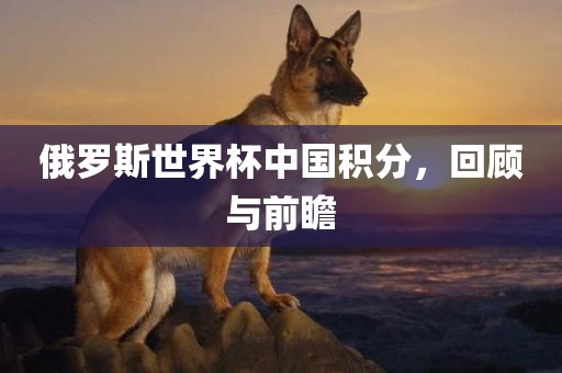 俄罗斯世界杯中国积分，回顾与前瞻