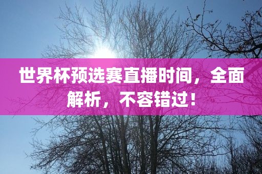 世界杯预选赛直播时间，全面解析，不容错过！