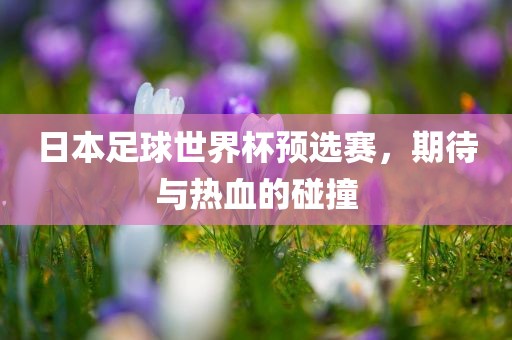 日本足球世界杯预选赛，期待与热血的碰撞