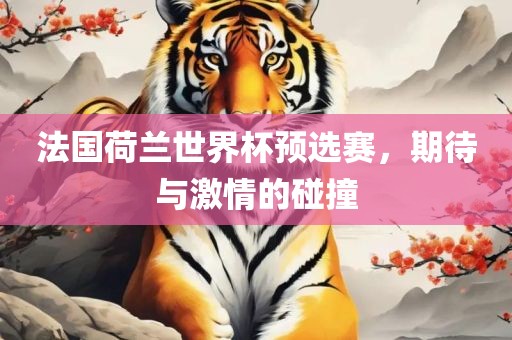 法国荷兰世界杯预选赛，期待与激情的碰撞