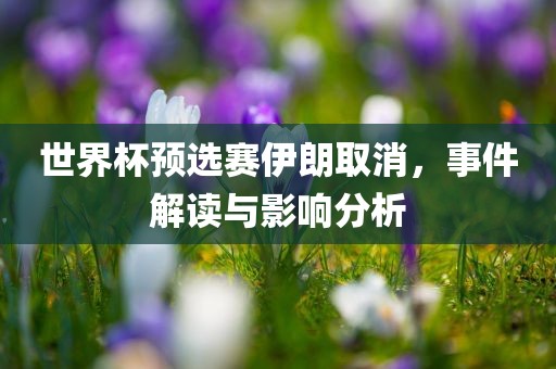 世界杯预选赛伊朗取消，事件解读与影响分析