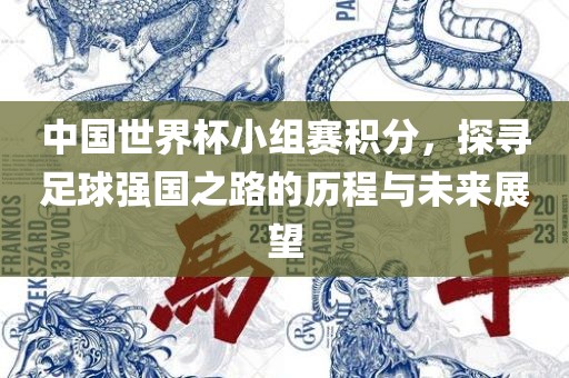 中国世界杯小组赛积分，探寻足球强国之路的历程与未来展望
