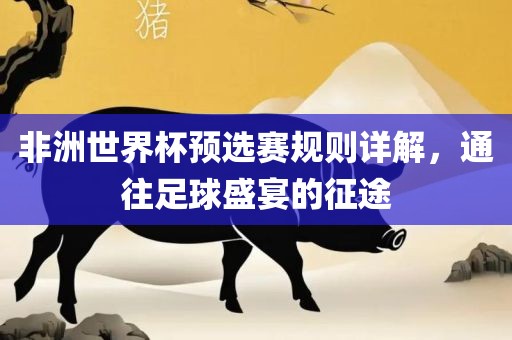 非洲世界杯预选赛规则详解，通往足球盛宴的征途