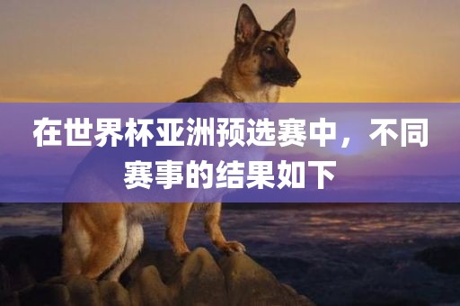 在世界杯亚洲预选赛中，不同赛事的结果如下