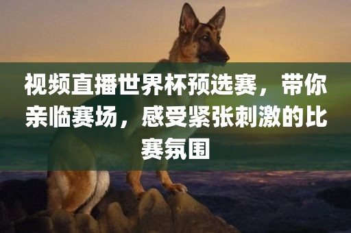 视频直播世界杯预选赛，带你亲临赛场，感受紧张刺激的比赛氛围