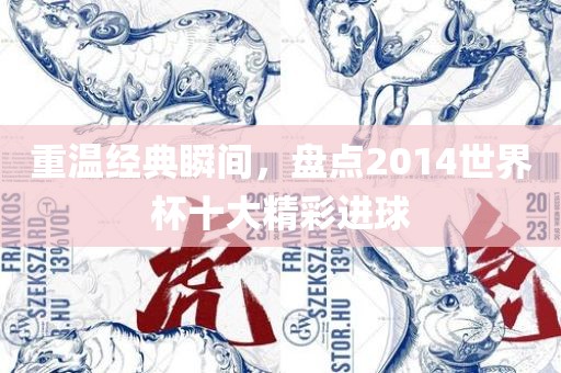 重温经典瞬间，盘点2014世界杯十大精彩进球眉山市正发家政服务有限公司