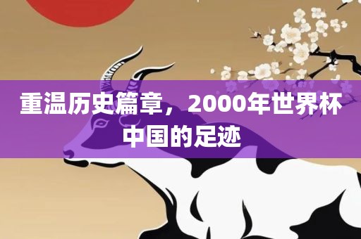 重温历史篇章，2000年世界杯中国的足迹