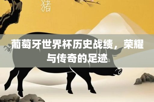葡萄牙世界杯历史战绩，荣耀与传奇的足迹