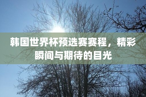 韩国世界杯预选赛赛程，精彩瞬间与期待的目光