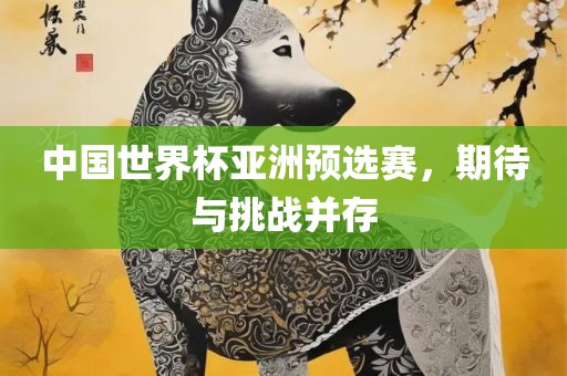 中国世界杯亚洲预选赛，期待与挑战并存