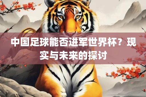 中国足球能否进军世界杯？现实与未来的探讨