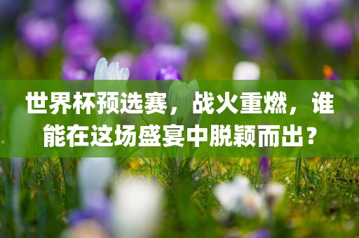 世界杯预选赛，战火重燃，谁能在这场盛宴中脱颖而出？