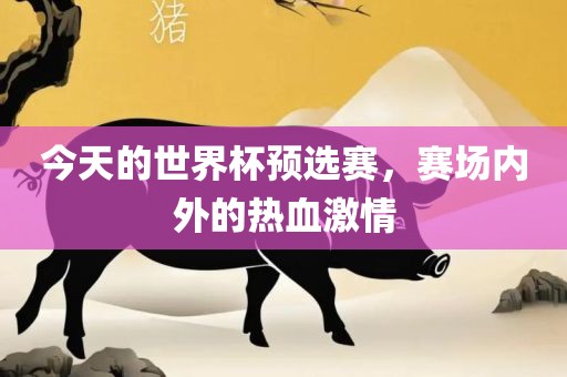 今天的世界杯预选赛，赛场内眉山市正发家政服务有限公司外的热血激情