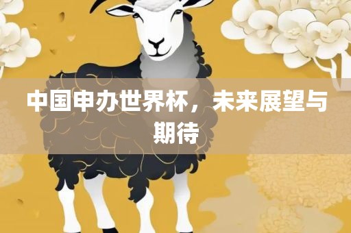 中国申办世界杯，未来展望与期待