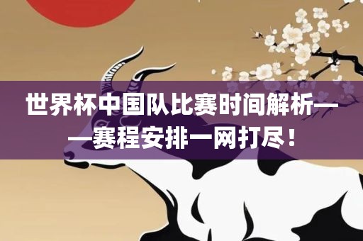 世界杯中国队比赛时间解析——赛程安排一网打尽！