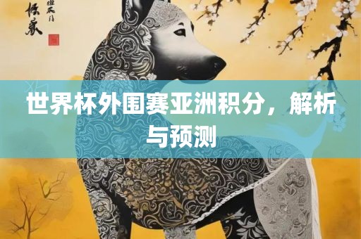 世界杯外围赛亚洲积分，解析与预测