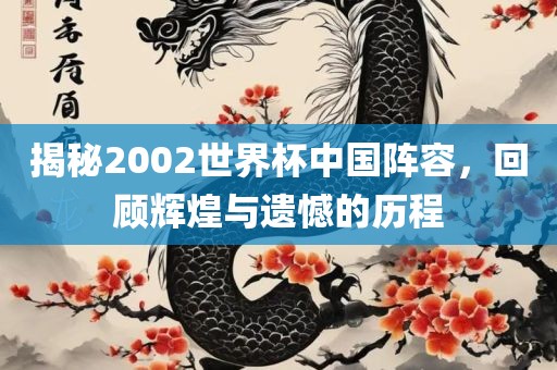 揭秘2002世界杯中国阵容，回顾辉煌与遗憾的历程