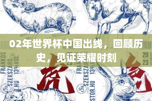 02年世界杯中国出线，回顾历史，见证荣耀时刻