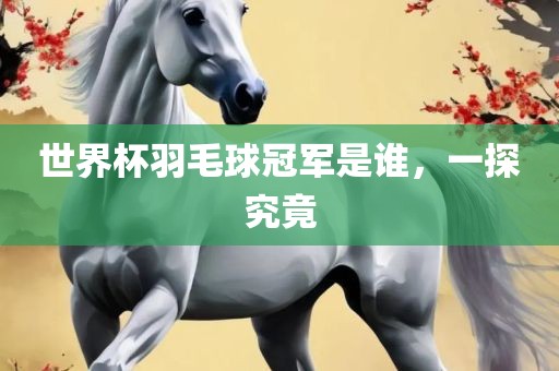 世界杯羽毛球冠军是谁，一探究竟