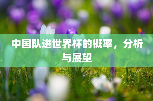 中国队进世界杯的概率，分析与展望
