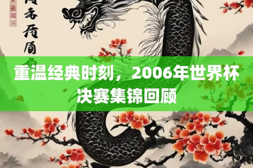 重温经典时刻，2006年世界杯决赛集锦回顾