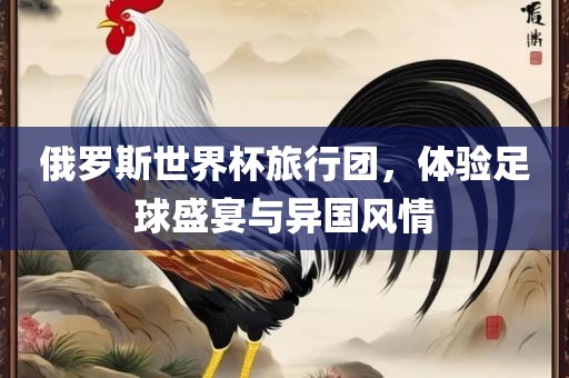俄罗斯世界杯旅行团，体验足球盛宴与异国风情