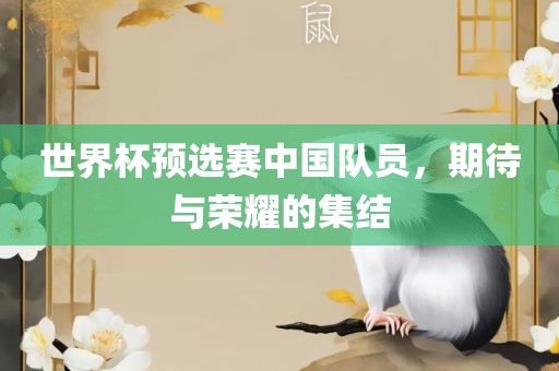 世界杯预选赛中国队员，期待与荣耀的集结