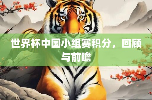 世界杯中国小组赛积分，回顾与前瞻