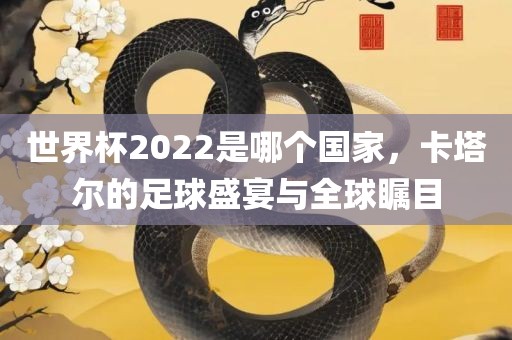 世界杯2022是哪个国家，卡塔尔的足球盛宴与全球瞩目
