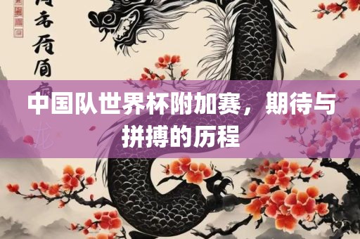 中国队世界杯附加赛，期待与拼搏的历程