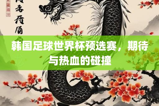 韩国足球世界杯预选赛，期待与热血的碰撞