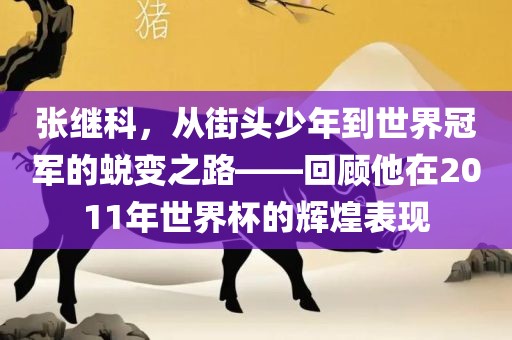 张继科，从街头少年到世界冠军的蜕变之路——回顾他在2011年世界杯的辉煌表现