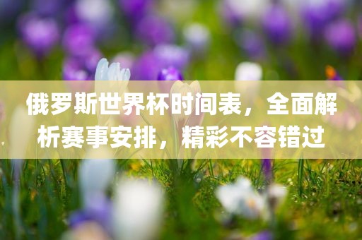 俄罗斯世界杯时间表，全面解析赛事安排，精彩不容错过