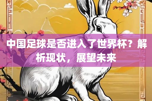 中国足球是否进入了世界杯？解析现状，展望未来