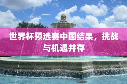 世界杯预选赛中国结果，挑战与机遇并存