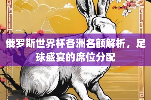 俄罗斯世界杯各洲名额解析，足球盛宴的席位分配