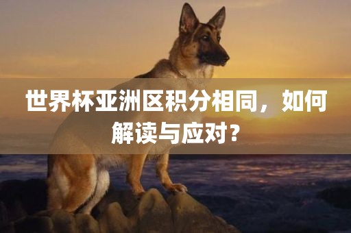 世界杯亚洲区积分相同，如何解读与应对？
