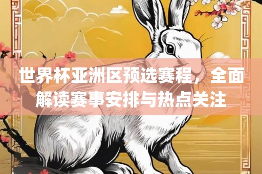 世界杯亚洲区预选赛程，全面解读赛事安排与热点关注