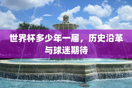 世界杯多少年一届，历史沿革与球迷期待