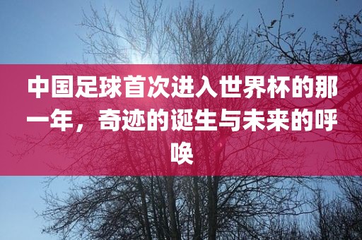 中国足球首次进入世界杯的那一年，奇迹的诞生与未来的呼唤
