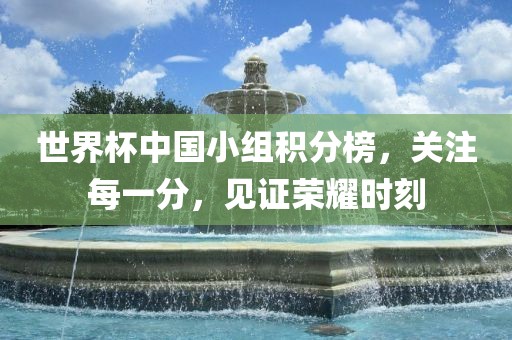 世界杯中国小组积分榜，关注每一分，见证荣耀时刻