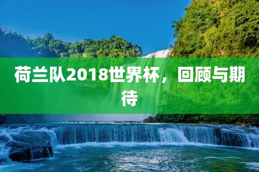 荷兰队2018世界杯，回顾与期待