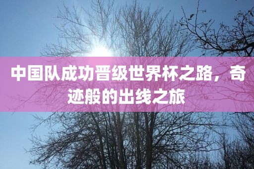中国队成功晋级世界杯之路，奇迹般的出线之旅