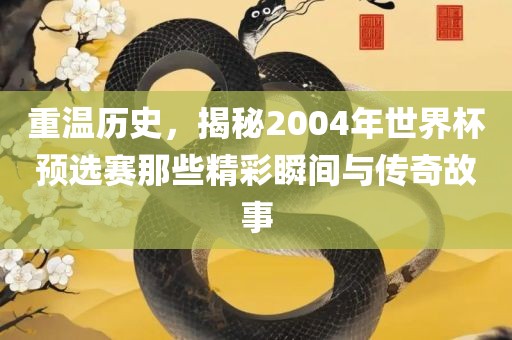 重温历史，揭秘2004年世界杯预选赛那些精彩瞬间与传奇故事